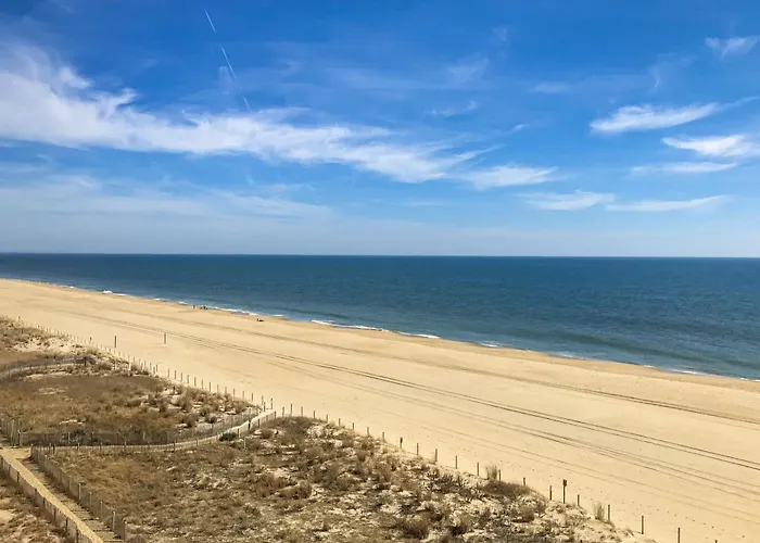 Surfside 84 #31